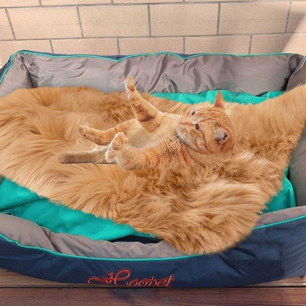 Alternative view of Asrug Soft Faux Fur Pet Bed Mat Plush and Fluffy Pet Pad Ultra Cozy Pet Throw Rug for Dogs Cats