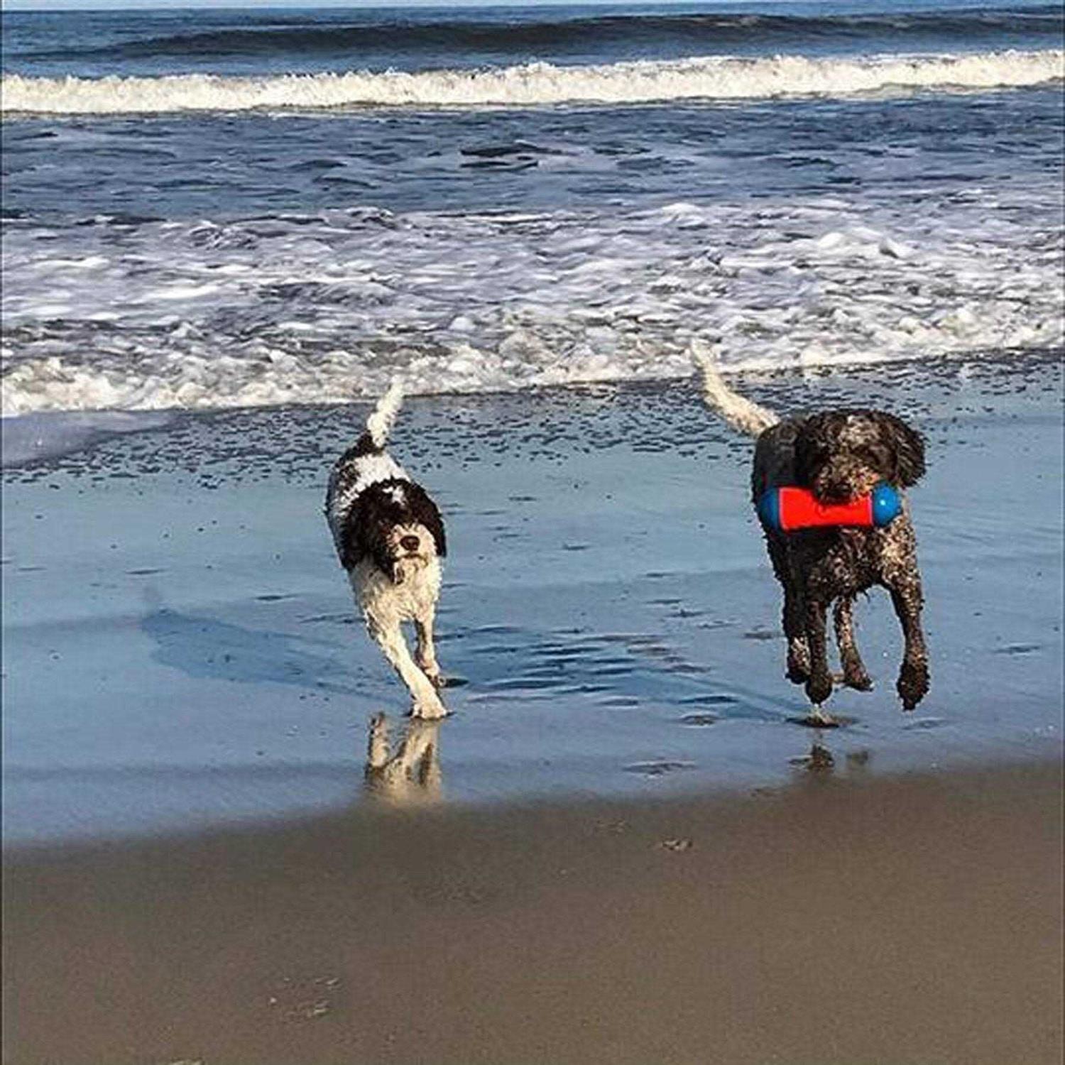 Alternative view of Chuckit! Tumble Bumper Dog Toy