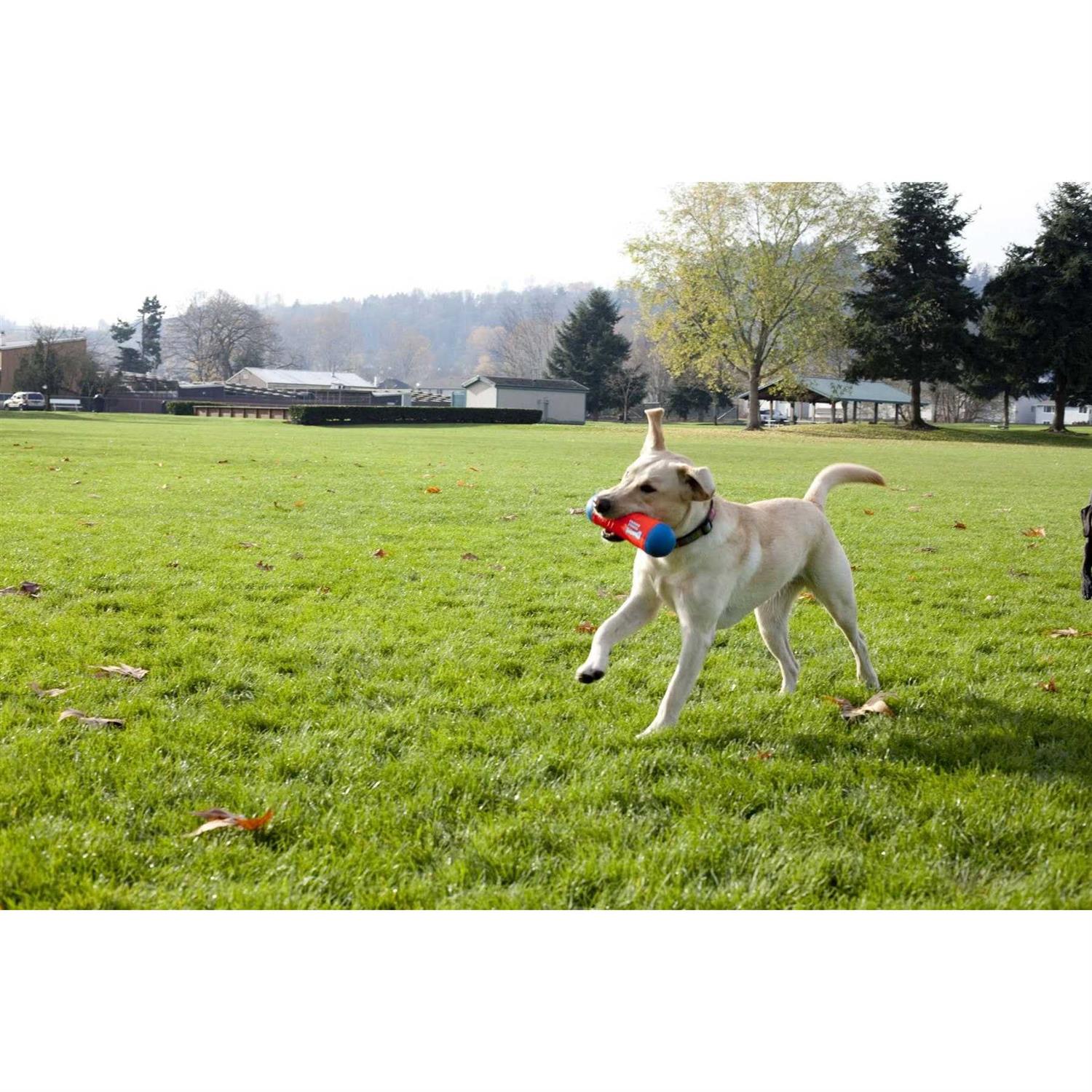 Alternative view of Chuckit! Tumble Bumper Dog Toy