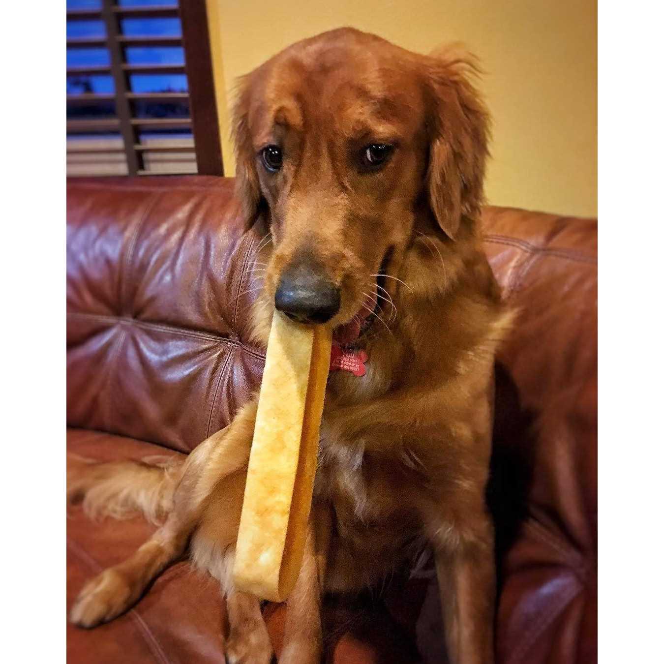 Alternative view of Yeti Dog Chew
