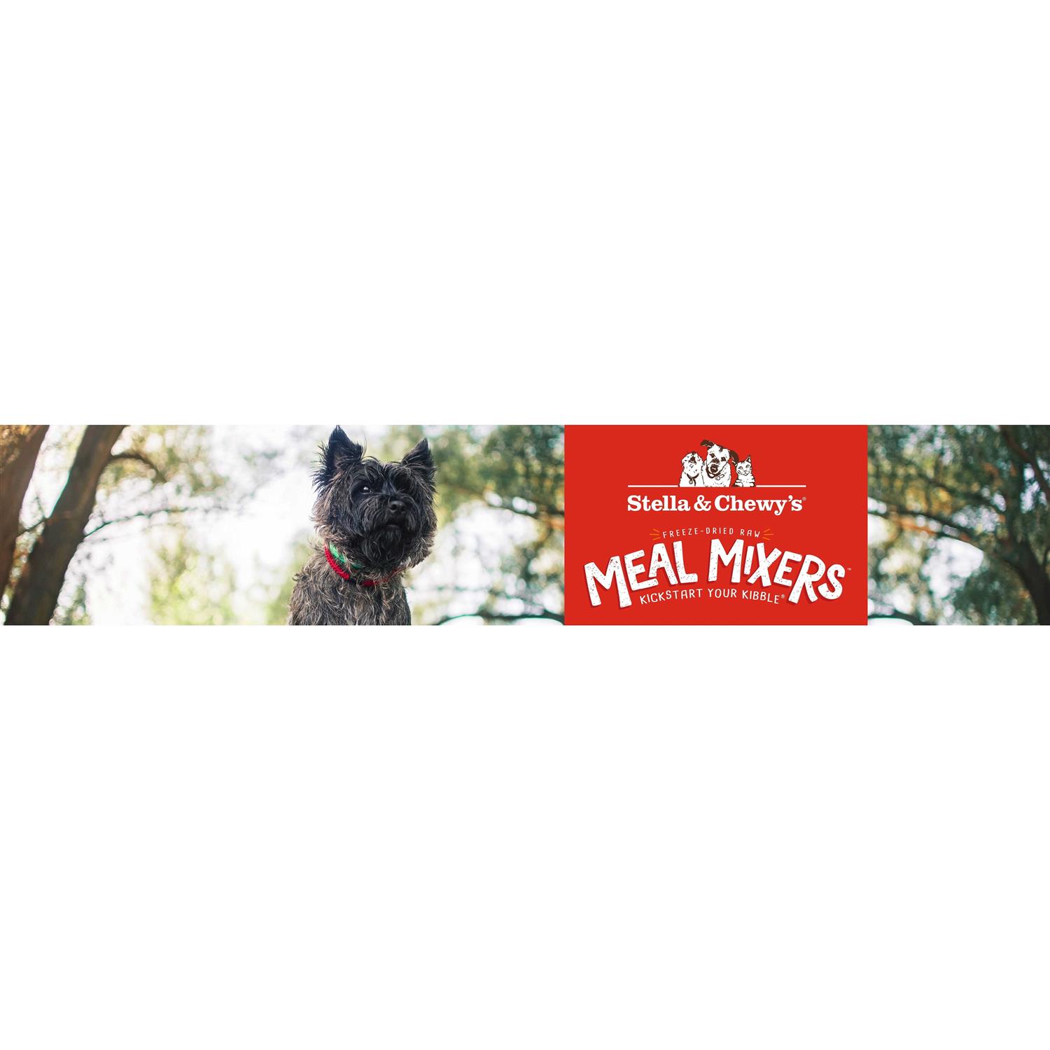 Alternative view of Stella & Chewy's Freeze-Dried Dog Food Meal Mixer Superblends Cage-Free Chicken Recipe