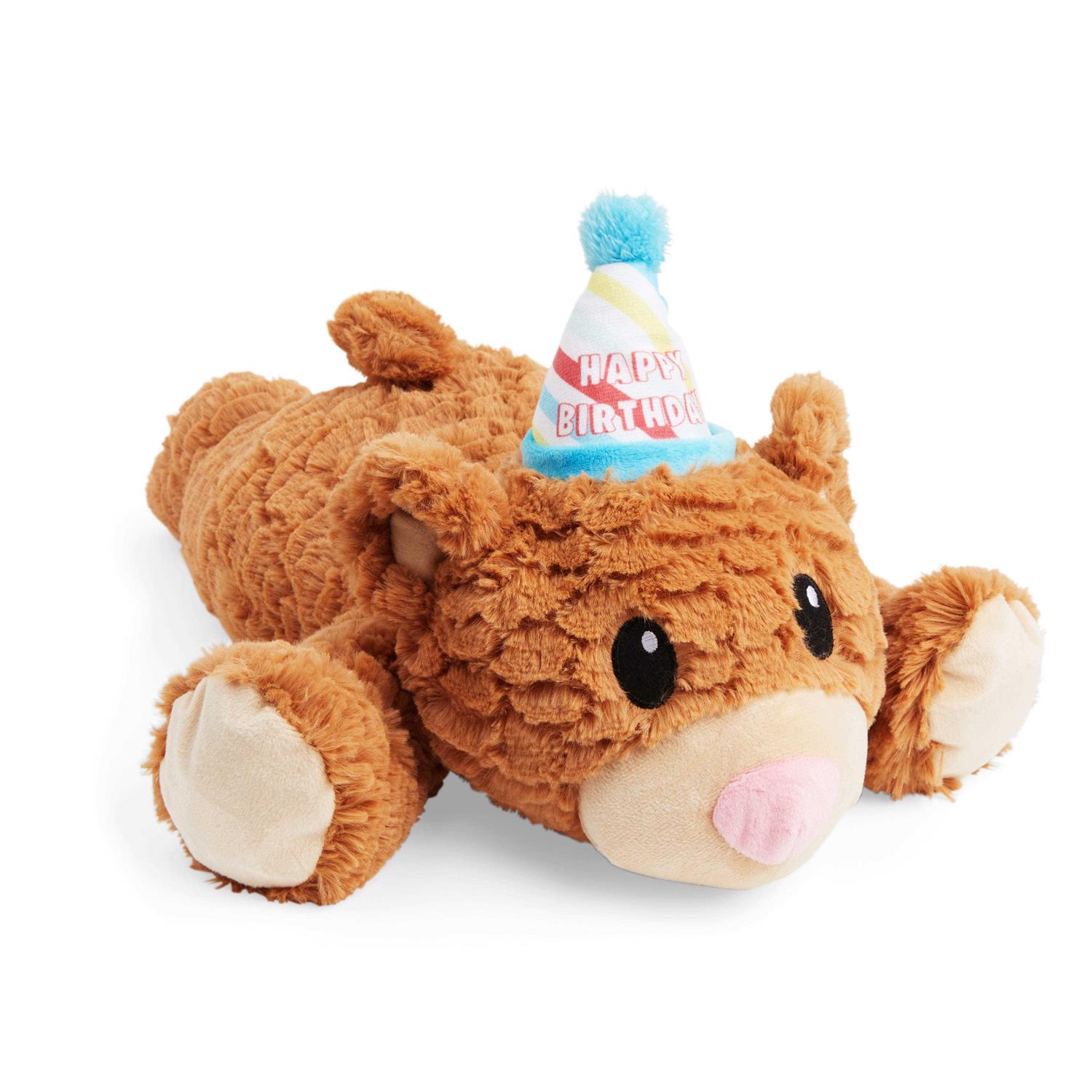 Youly 18" Birthday Snuggles Dog Toy