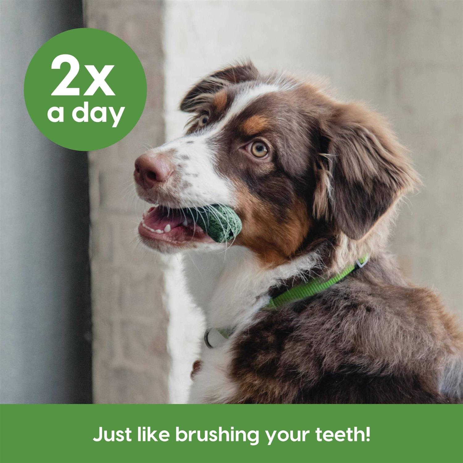 Alternative view of Ark Naturals Sensitive Gums Brushless Toothpaste