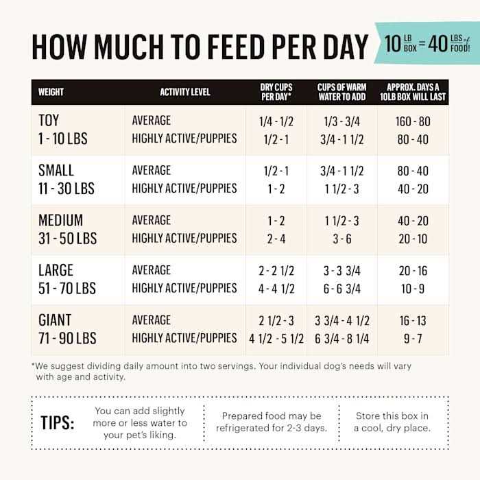 Alternative view of The Honest Kitchen Dehydrated Gourmet Grains Chicken & Duck Dog Food