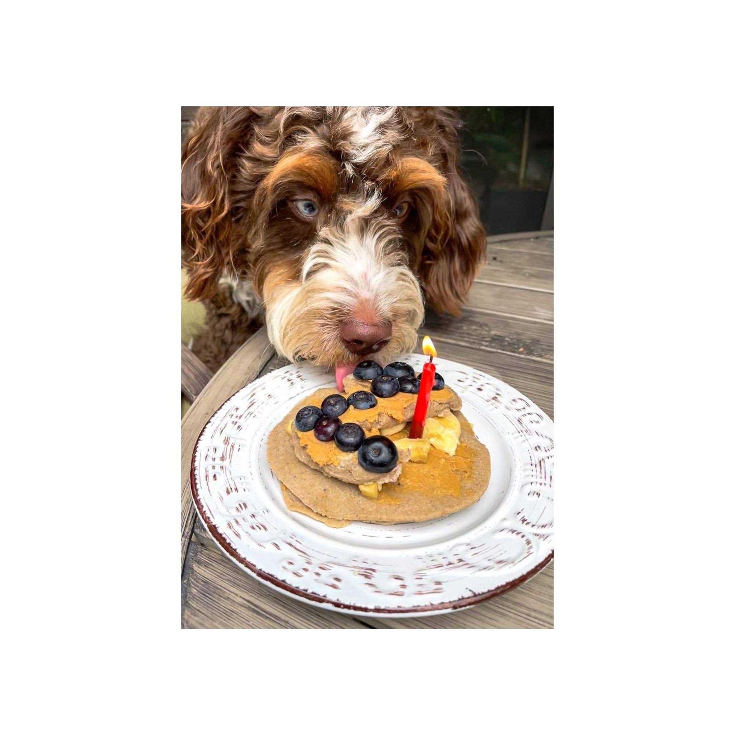 Alternative view of Bark Bistro Pooch Pancakes