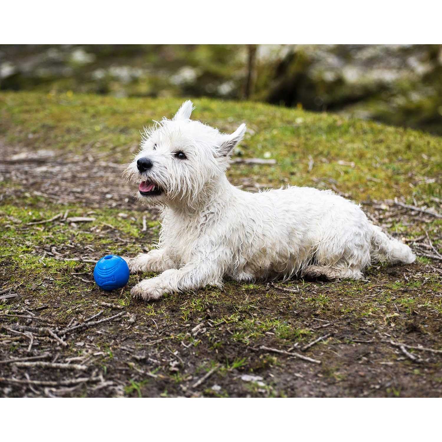 Alternative view of Chuckit! Crunch Ball