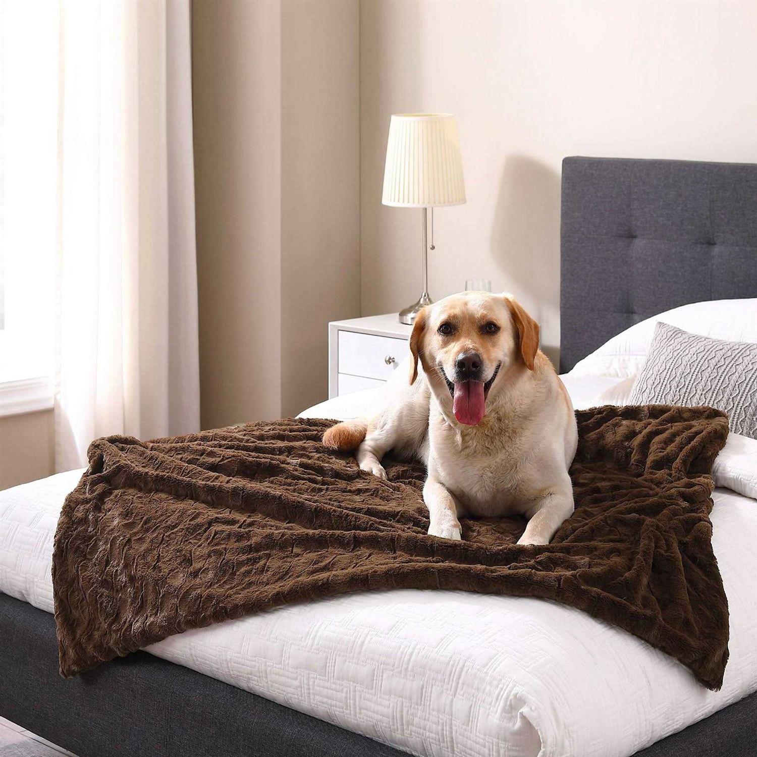 Best Friends by Sheri Calming Lux Fur Cat & Dog Blanket
