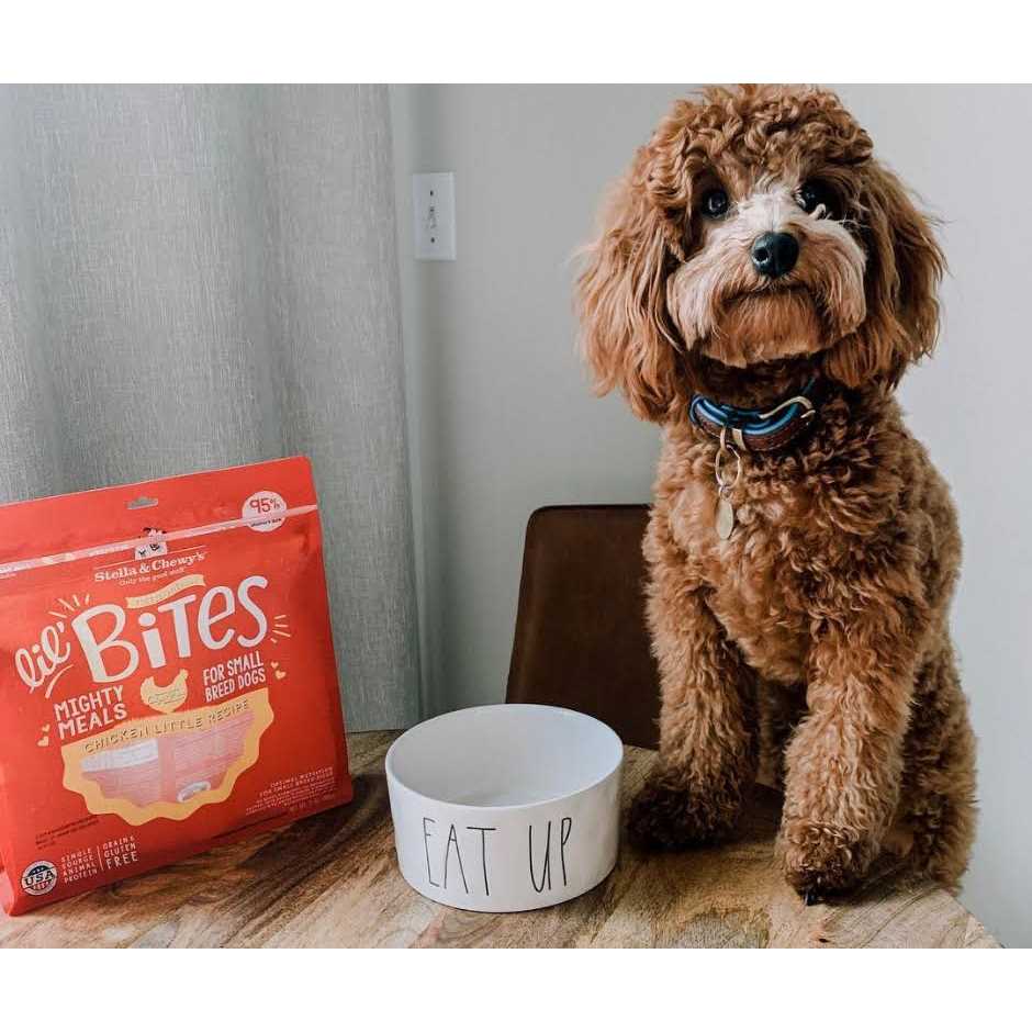 Alternative view of Stella & Chewy's Lil' Bites Chicken Little Freeze Dried Dog Food