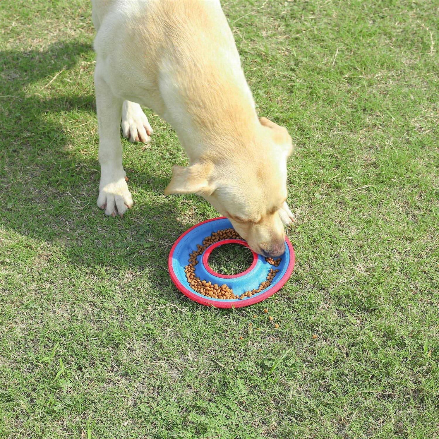 Alternative view of Barkwow Floating Water Bite Resistance Disc also Bowl