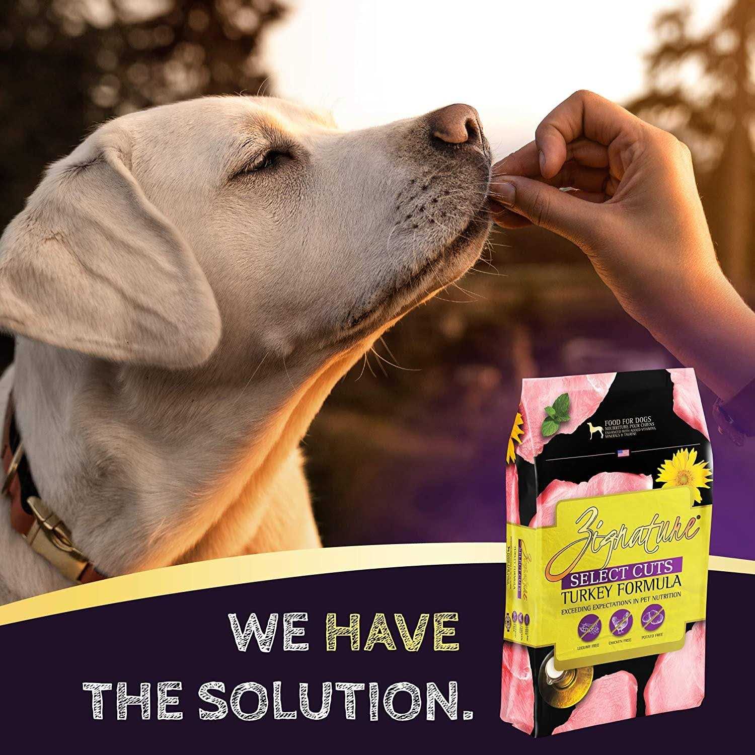 Alternative view of Zignature Select Cuts Turkey Formula Dry Dog Food