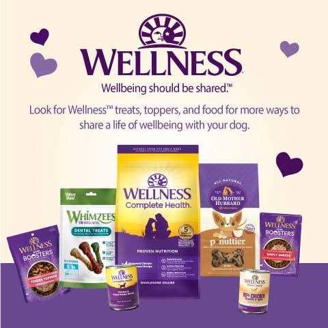 Alternative view of Wellness Soft Wellbites Turkey & Duck Recipe Dog Treats