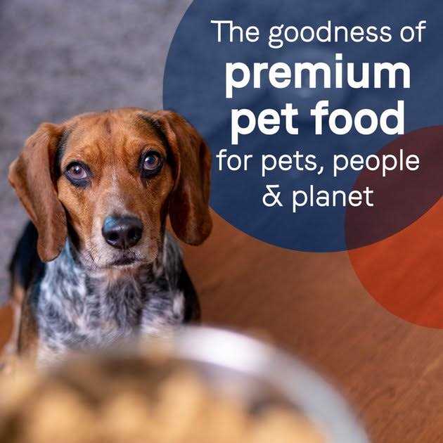 Alternative view of Canidae Grain-Free Pure Limited Ingredient Salmon & Sweet Potato Recipe Canned Dog Food