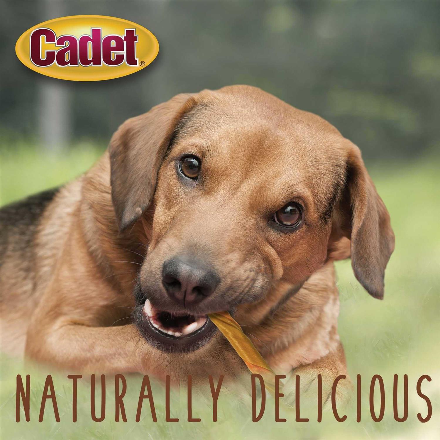 Alternative view of Cadet Choice Chews Peanut Butter Twists Dog Treats