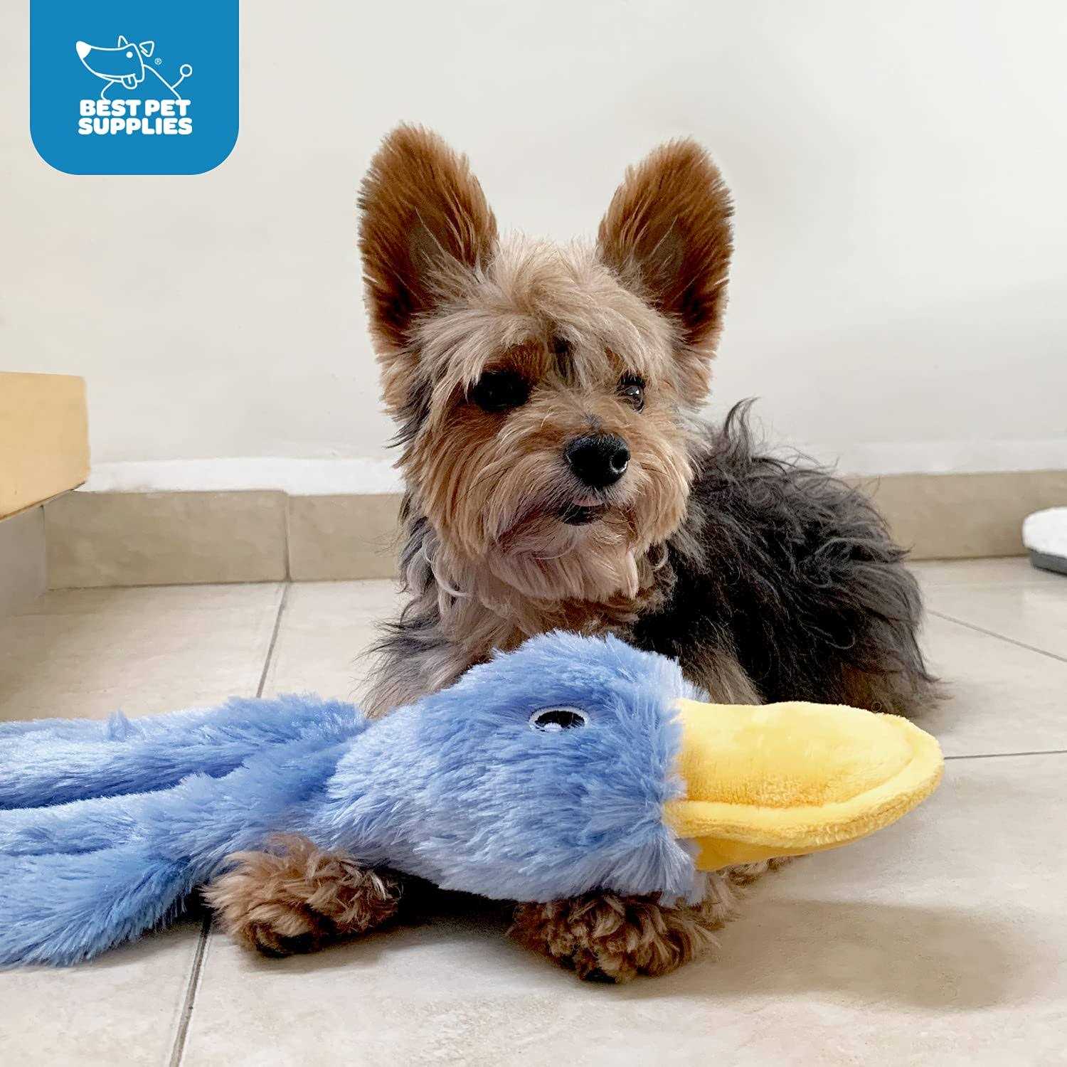 Alternative view of Best Pet Supplies Crinkle Dog Toy for Small, Medium, and Large Breeds, Cute No Stuffing Duck with Soft Squeaker, Fun for Indoor Puppies and Senior