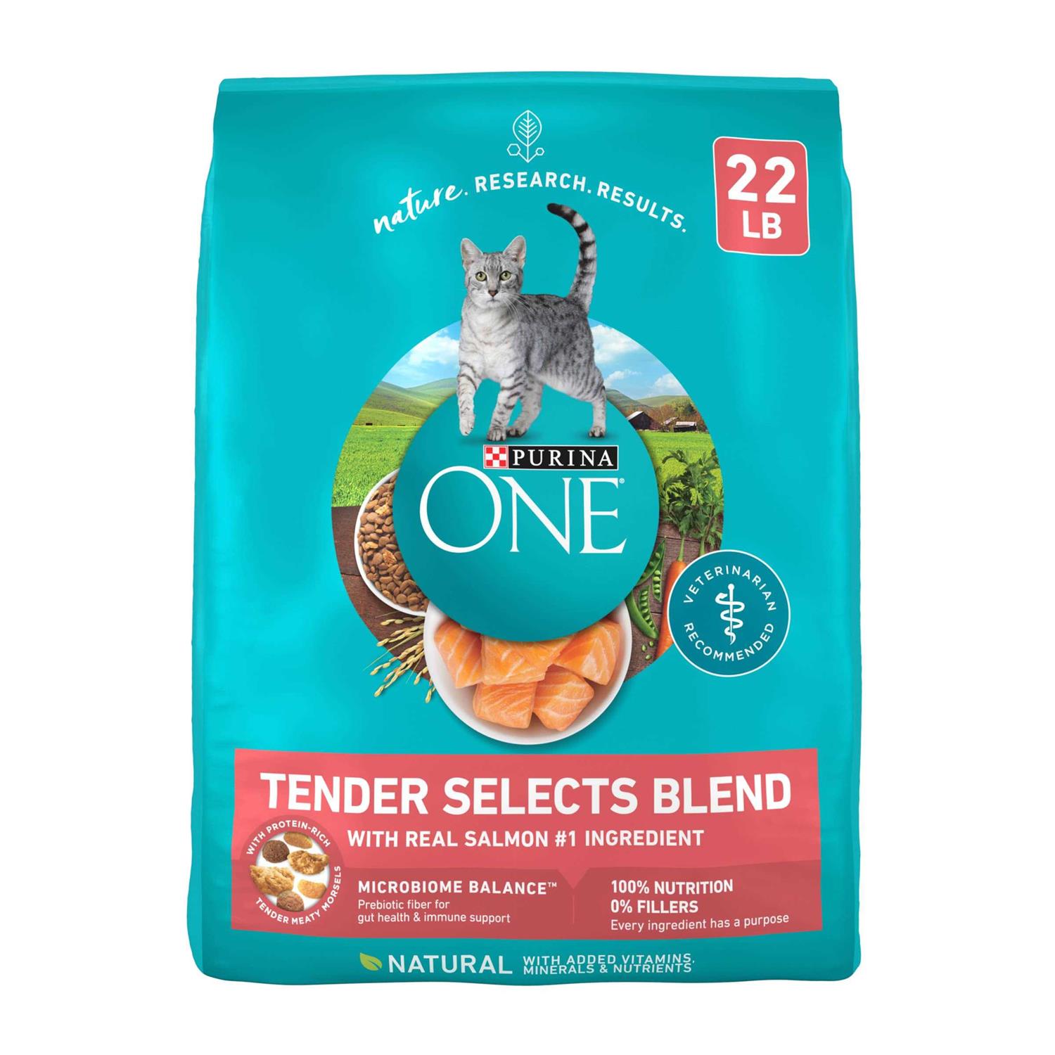 Purina ONE Smartblend Dry Cat Food