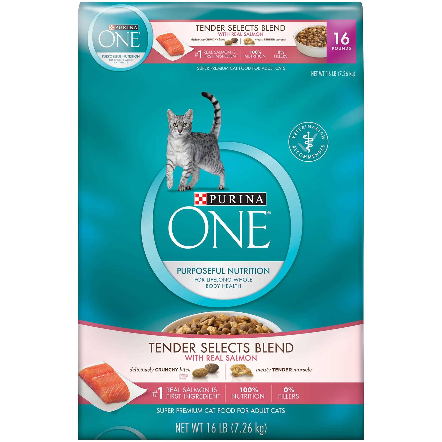 Purina ONE Smartblend Dry Cat Food