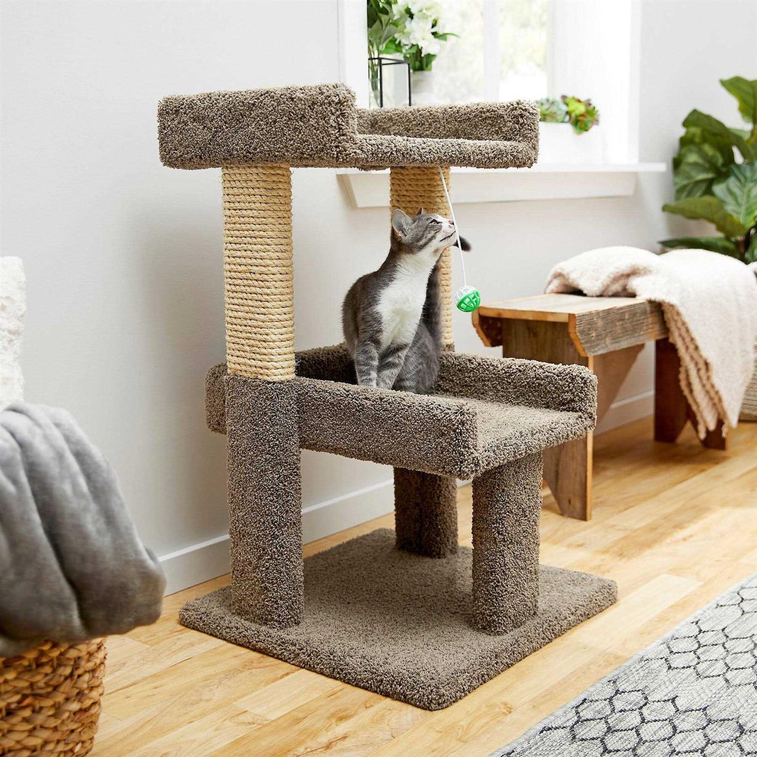 Frisco 32-in Real Carpet Wooden Cat Tree with Toy