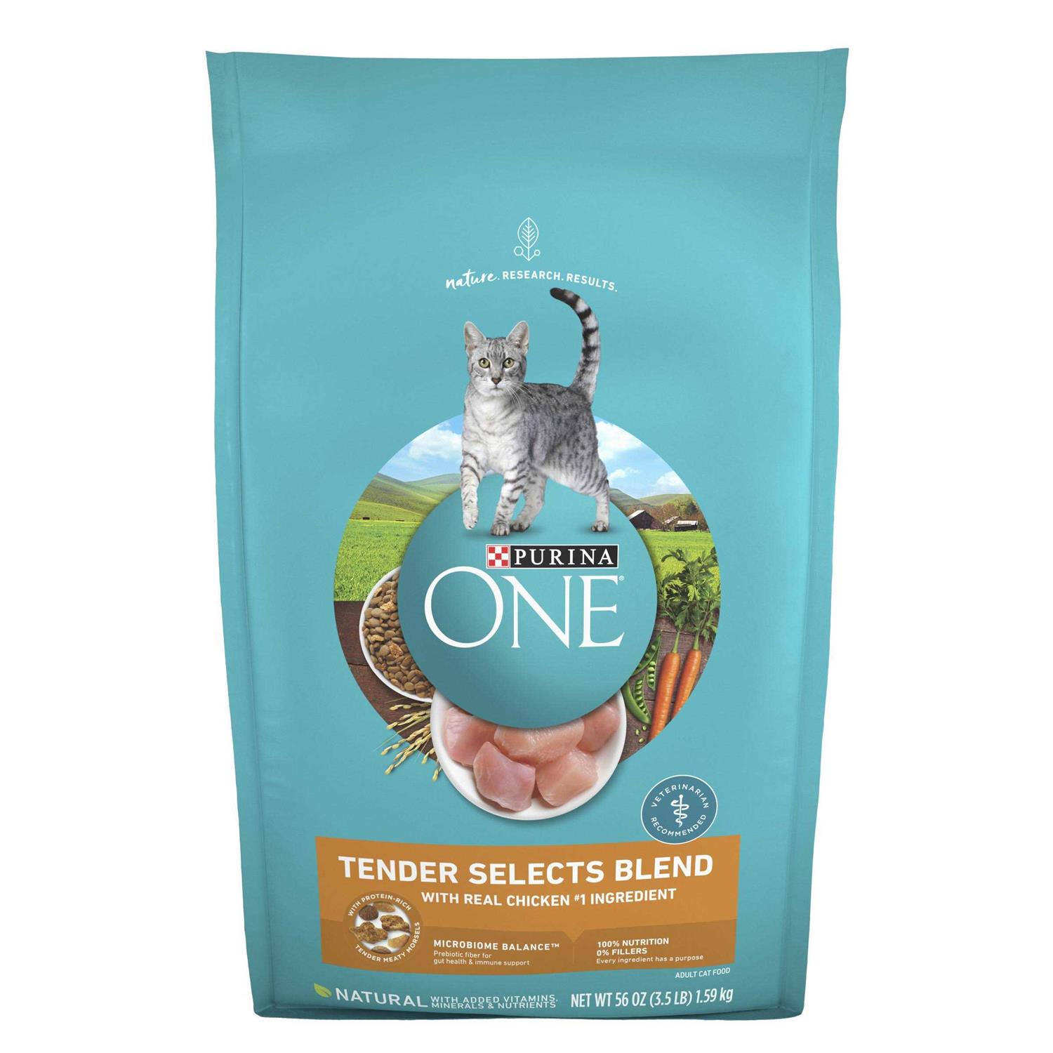 Purina ONE Tender Selects Blend Dry Cat Food With Real Chicken