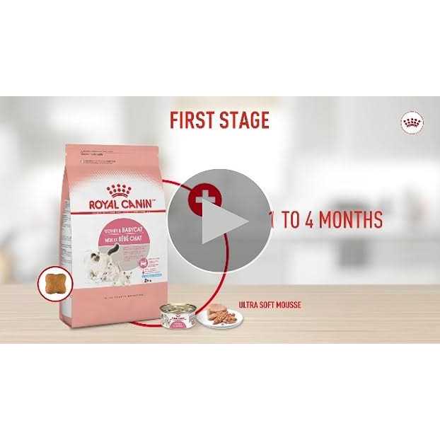 Alternative view of Royal Canin Feline Health Nutrition Mother & Babycat Ultra Soft Mousse