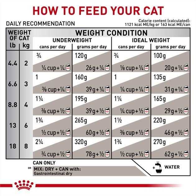 Alternative view of Royal Canin Veterinary Diet Adult Gastrointestinal Loaf in Sauce Canned Cat Food