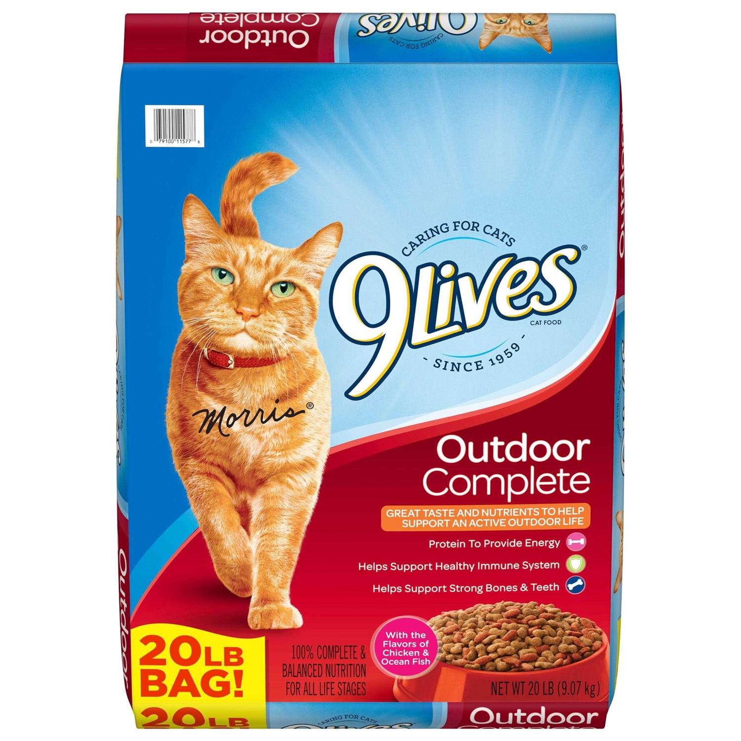 9Lives Outdoor Complete Dry Cat Food