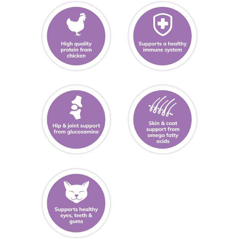 Alternative view of Wellness Complete Health Grain-Free Indoor Deboned Chicken Recipe Dry Cat Food