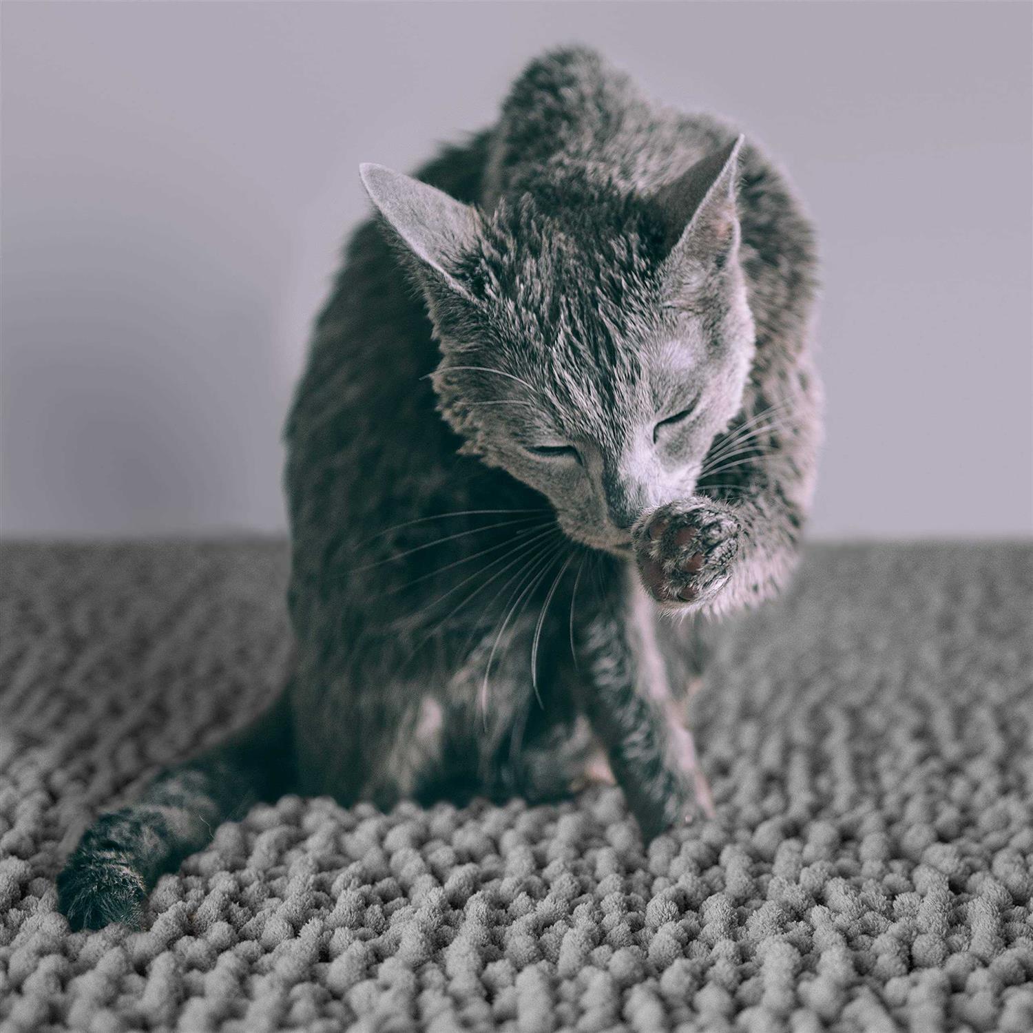 Alternative view of CatGuru Cat Litter Mat Medium Extra Large XXL Waterproof Litter Box Mat