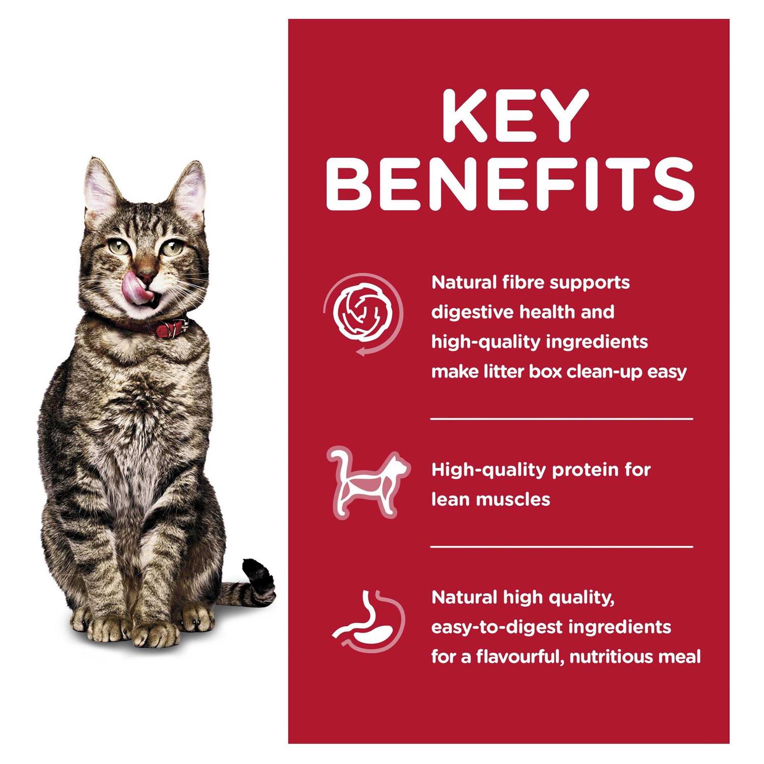 Alternative view of Hill's Science Diet Adult 7+ Indoor Dry Cat Food