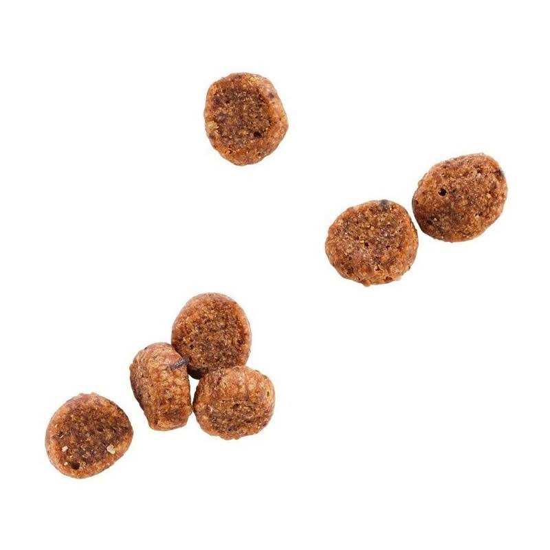 Alternative view of WholeHearted Grain Free Salmon Formula Dry Cat Food