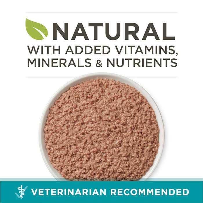 Alternative view of Purina ONE Healthy Kitten Grain Free Chicken & Salmon Pate Wet Cat Food