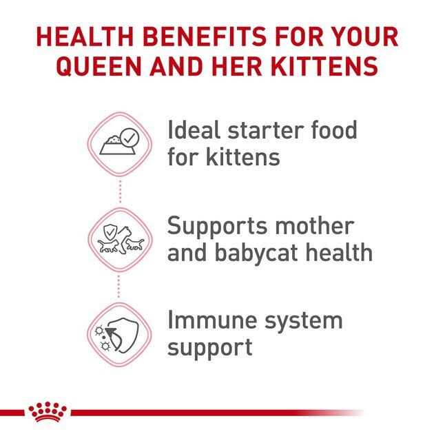 Alternative view of Royal Canin Feline Health Nutrition Mother & Babycat Ultra Soft Mousse in Sauce Canned Cat Food