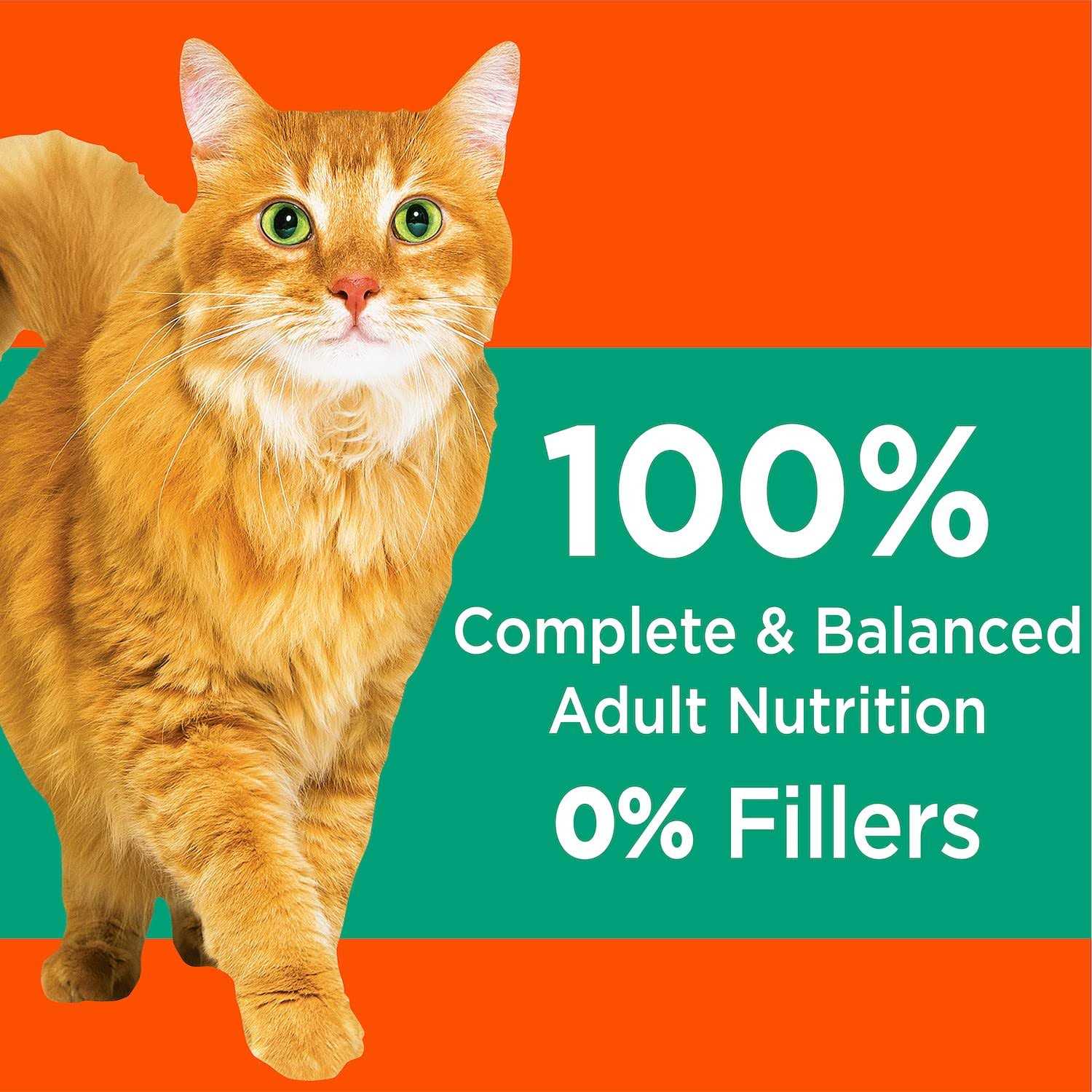 Alternative view of IAMS ProActive Health Hairball Care Adult Cat Dry Food