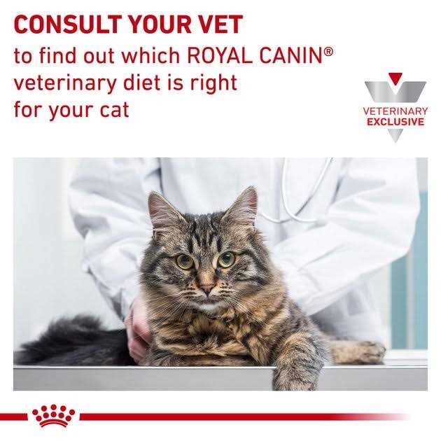 Alternative view of Royal Canin Veterinary Diet Feline Satiety Support Weight Management Adult Cat Loaf in Sauce Wet Food –