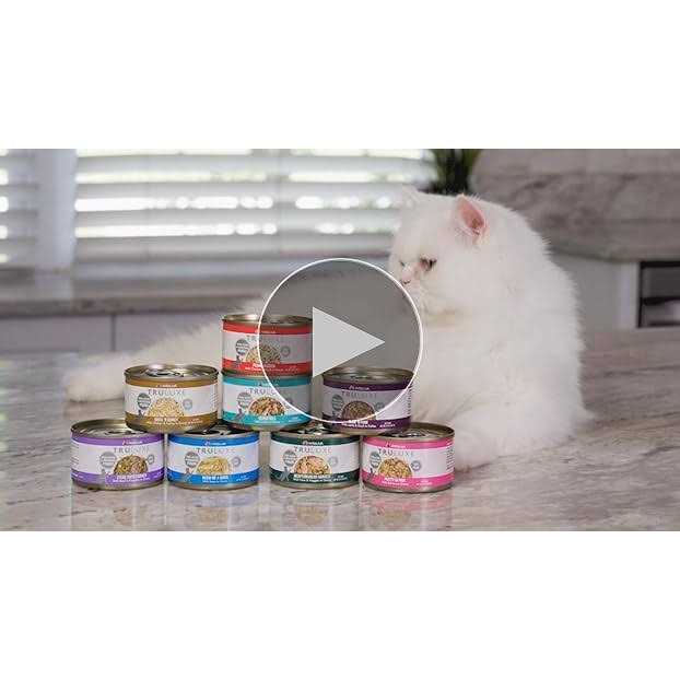 Alternative view of Weruva TruLuxe Steak Frites Beef & Pumpkin Canned Cat Food
