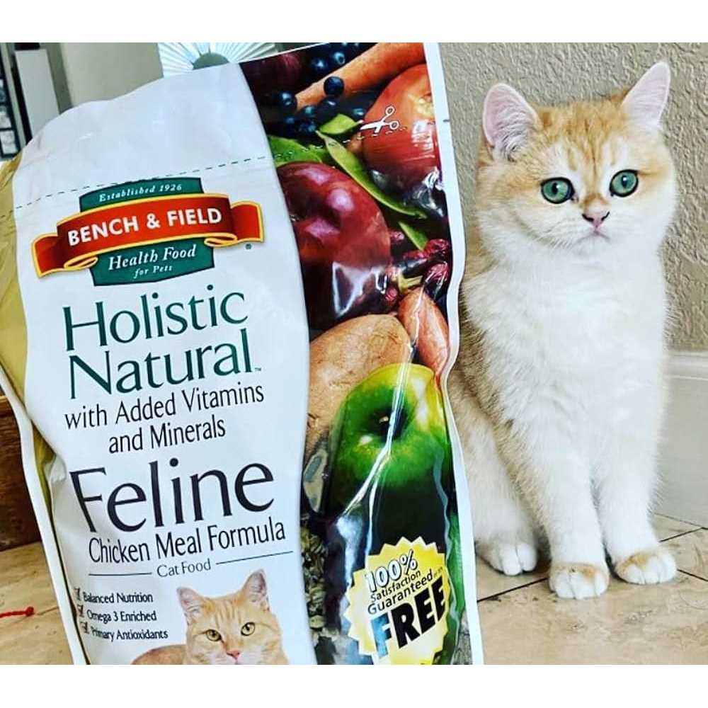 Alternative view of Bench & Field Holistic Natural Cat Food