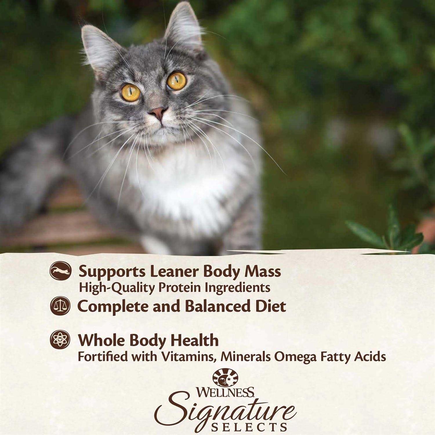 Alternative view of Wellness Signature Selects Grain Free Flaked Skipjack Tuna & Wild Salmon Entree Canned Cat Food