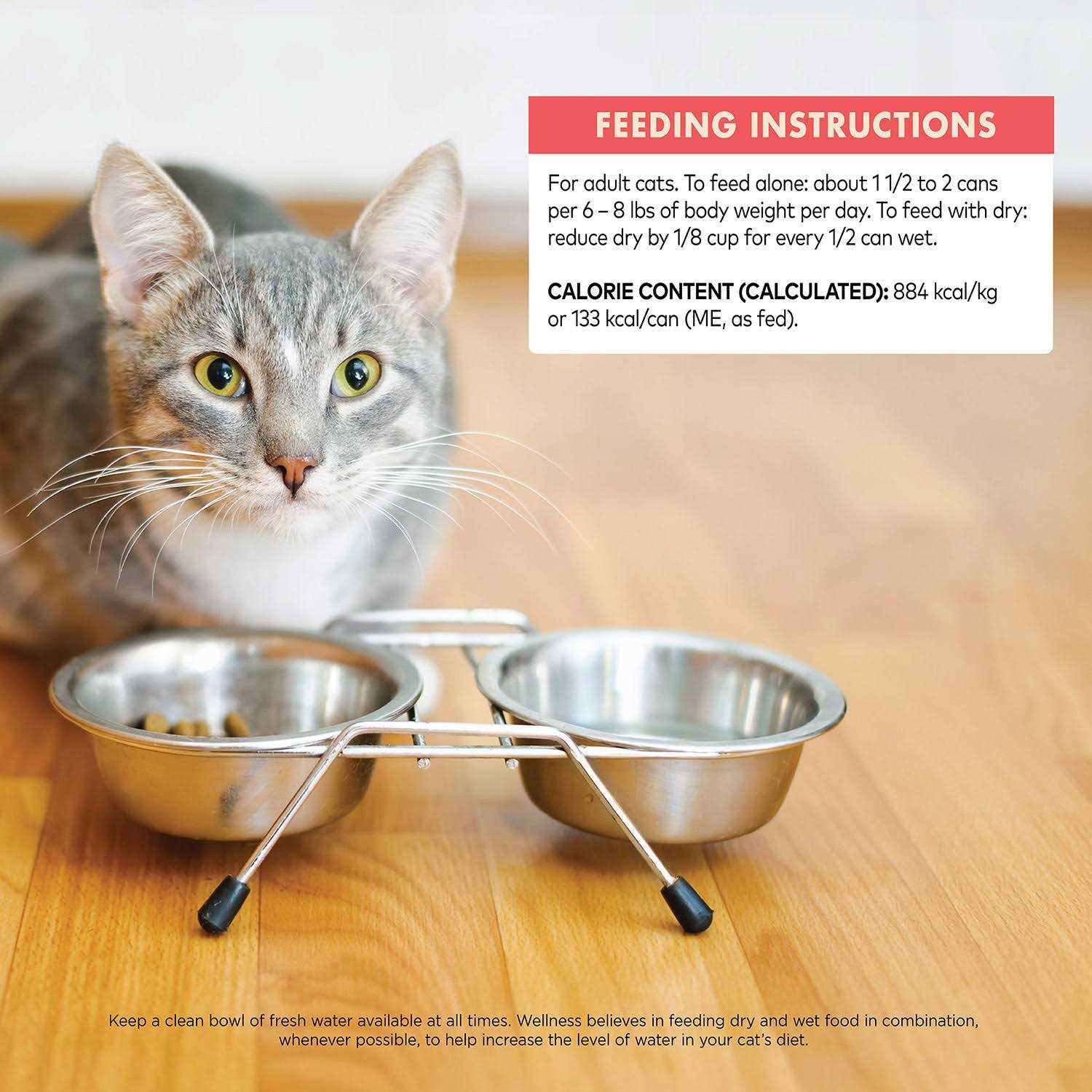 Alternative view of Wellness Signature Selects Grain Free Flaked Skipjack Tuna & Wild Salmon Entree Canned Cat Food