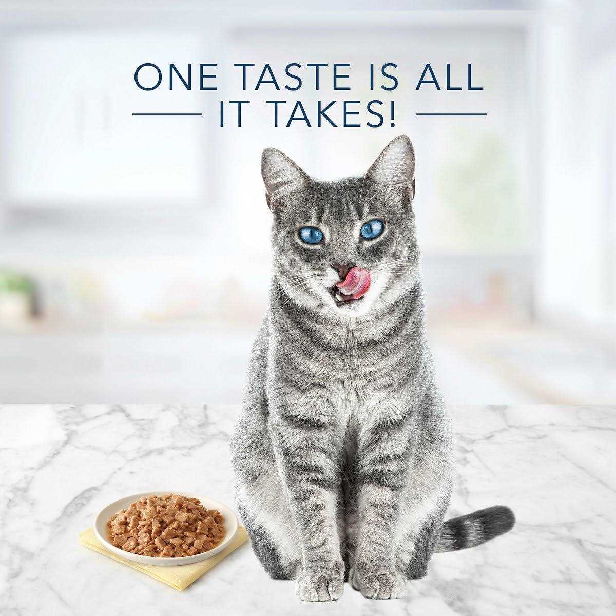 Alternative view of Blue Buffalo Tasteful Tuna Chicken Fish & Shrimp Flaked Variety Pack Wet Cat Food