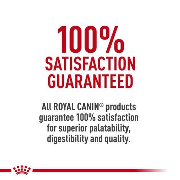 Alternative view of Royal Canin Adult Feline Health Nutrition Morsels in Gravy Cat Food for Indoor Cats