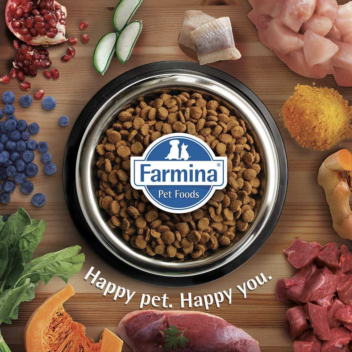 Alternative view of Farmina N&D Prime Cat Dry Food Chicken & Pomegranate Neutered