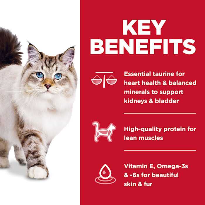 Alternative view of Hill's Science Diet Adult No Corn, Wheat or Soy Chicken Dry Cat Food