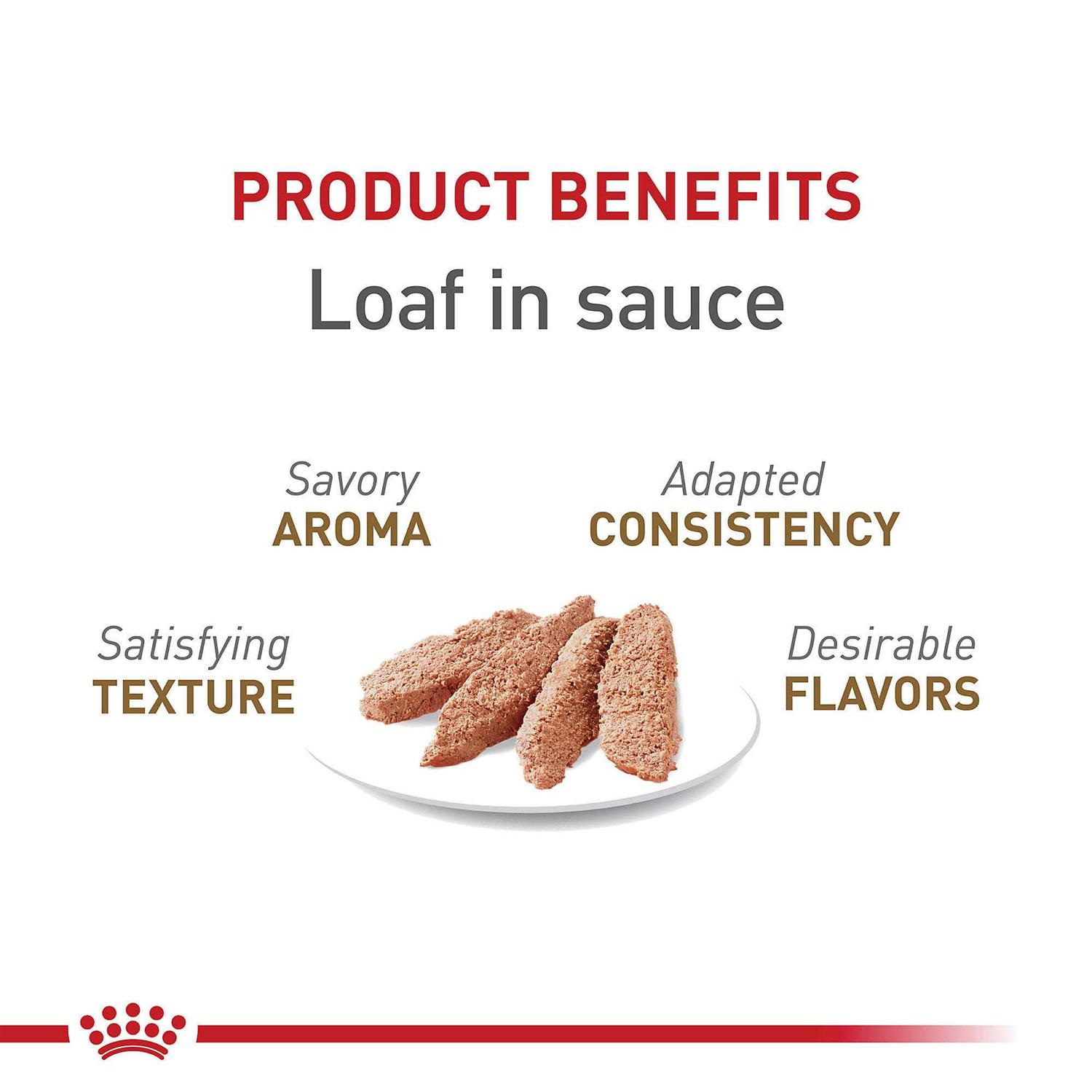 Alternative view of Royal Canin Feline Health Nutrition Aging 12+ Loaf in Sauce Canned Cat Food