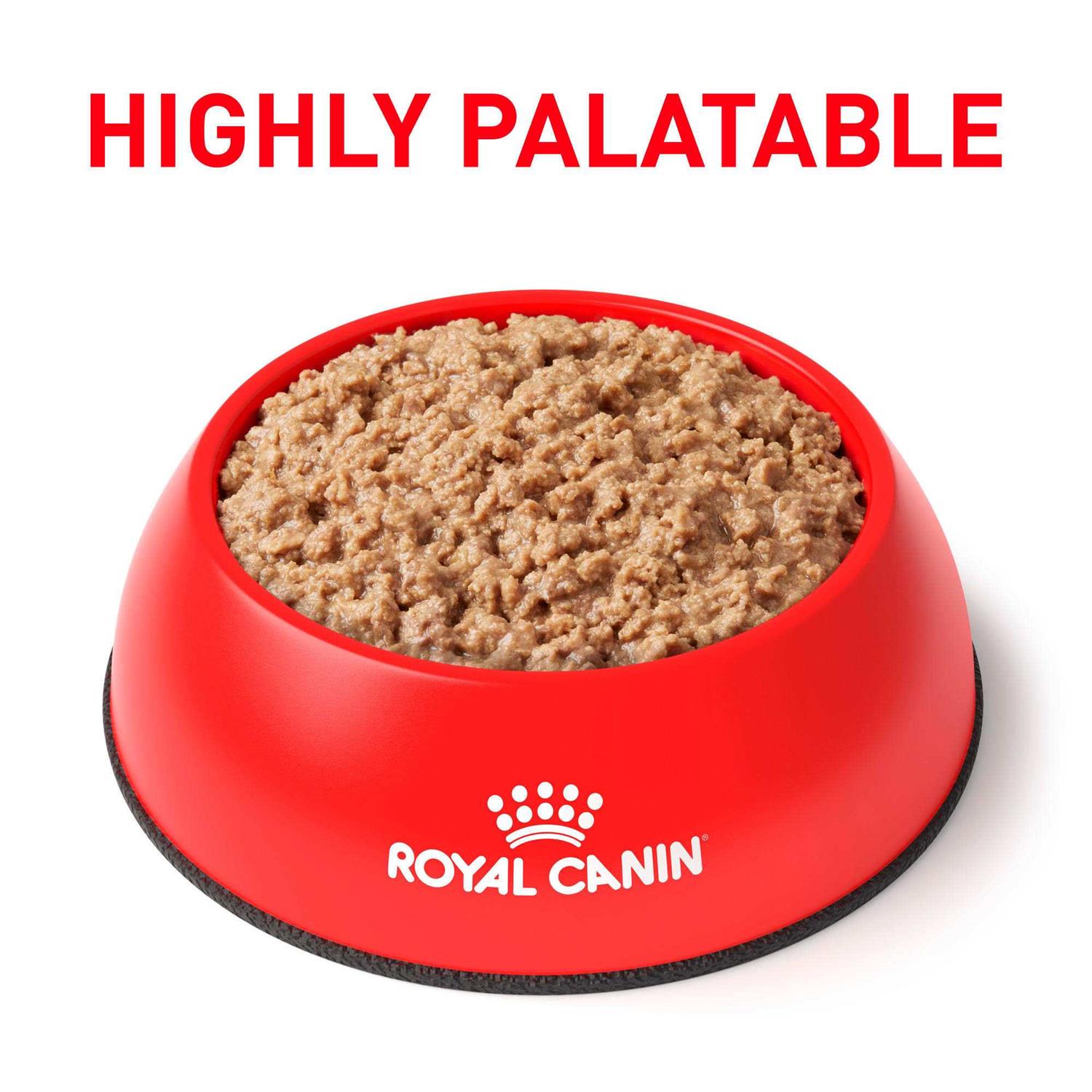Alternative view of Royal Canin Urinary So in Gel Canned Wet Cat Food