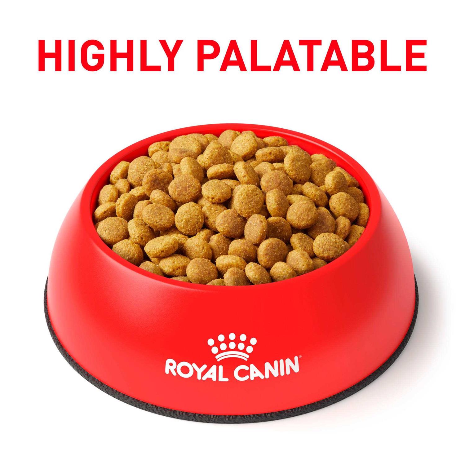 Alternative view of Royal Canin Veterinary Diet Gastrointestinal Moderate Calorie Dry Cat Food