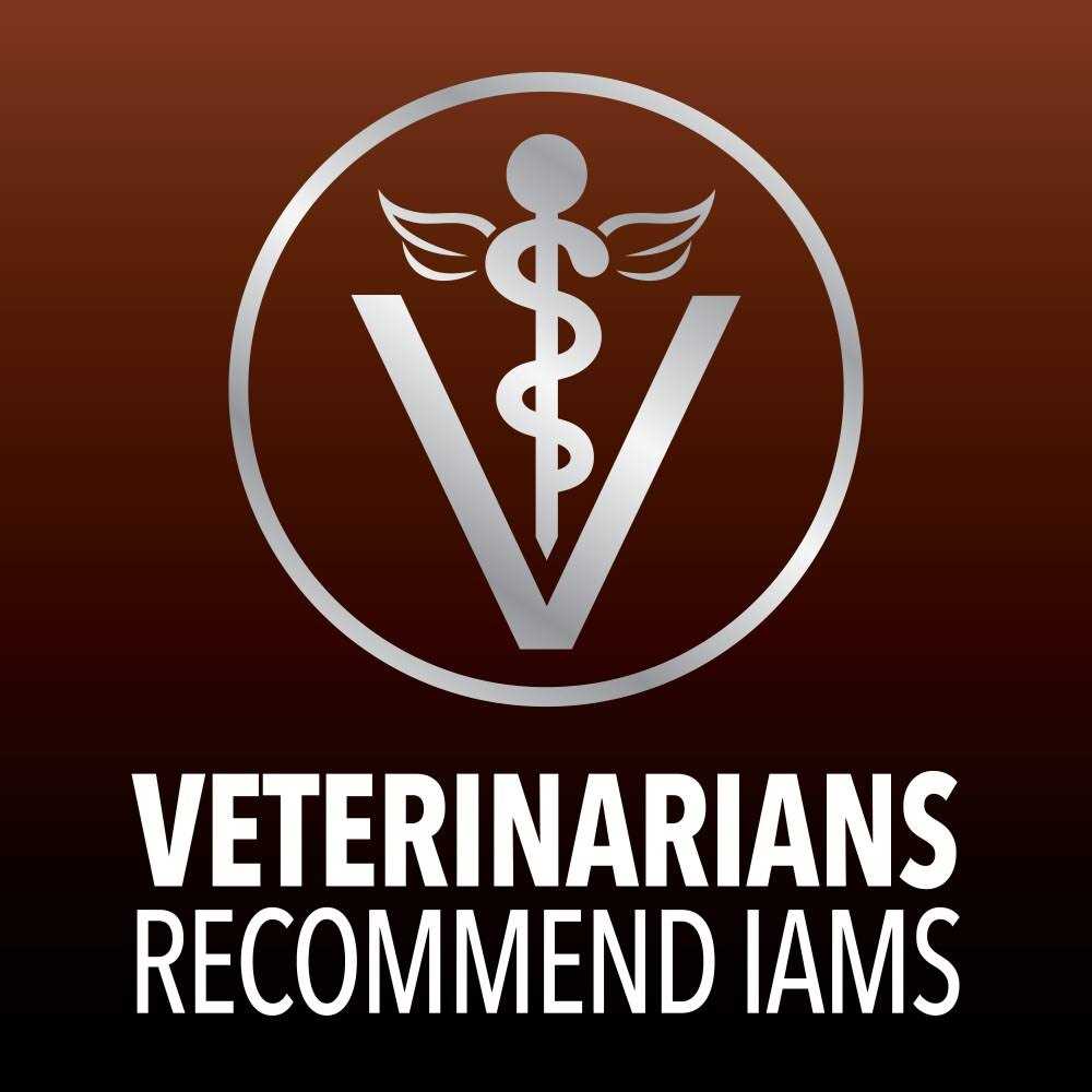 Alternative view of Iams Advanced Health Healthy Digestion Turkey & Chicken Recipe Adult Dry Cat Food