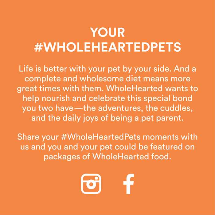 Alternative view of WholeHearted Grain Free Chicken Recipe Dry Kitten Food