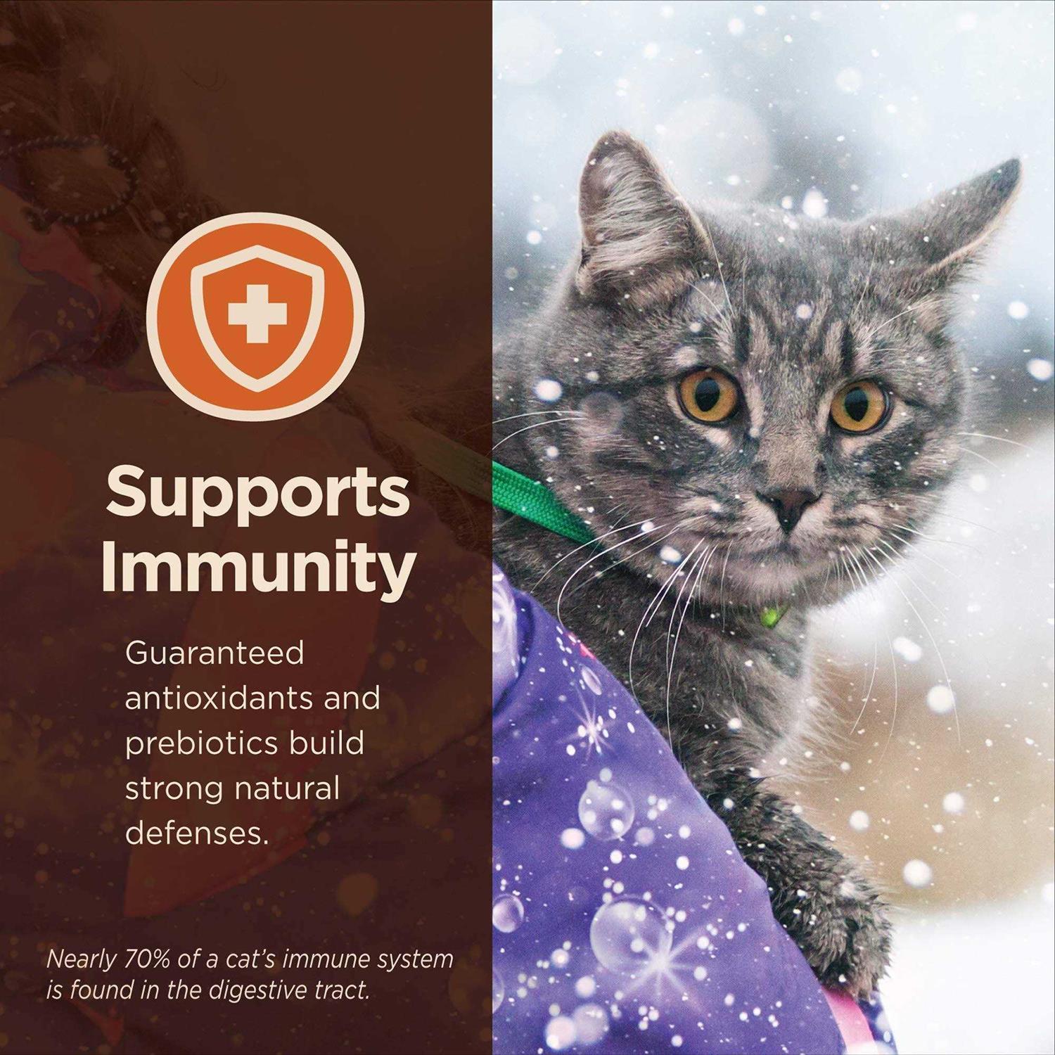 Alternative view of Wellness CORE Digestive Health Salmon & Whitefish Pate Variety Pack Wet Cat Food