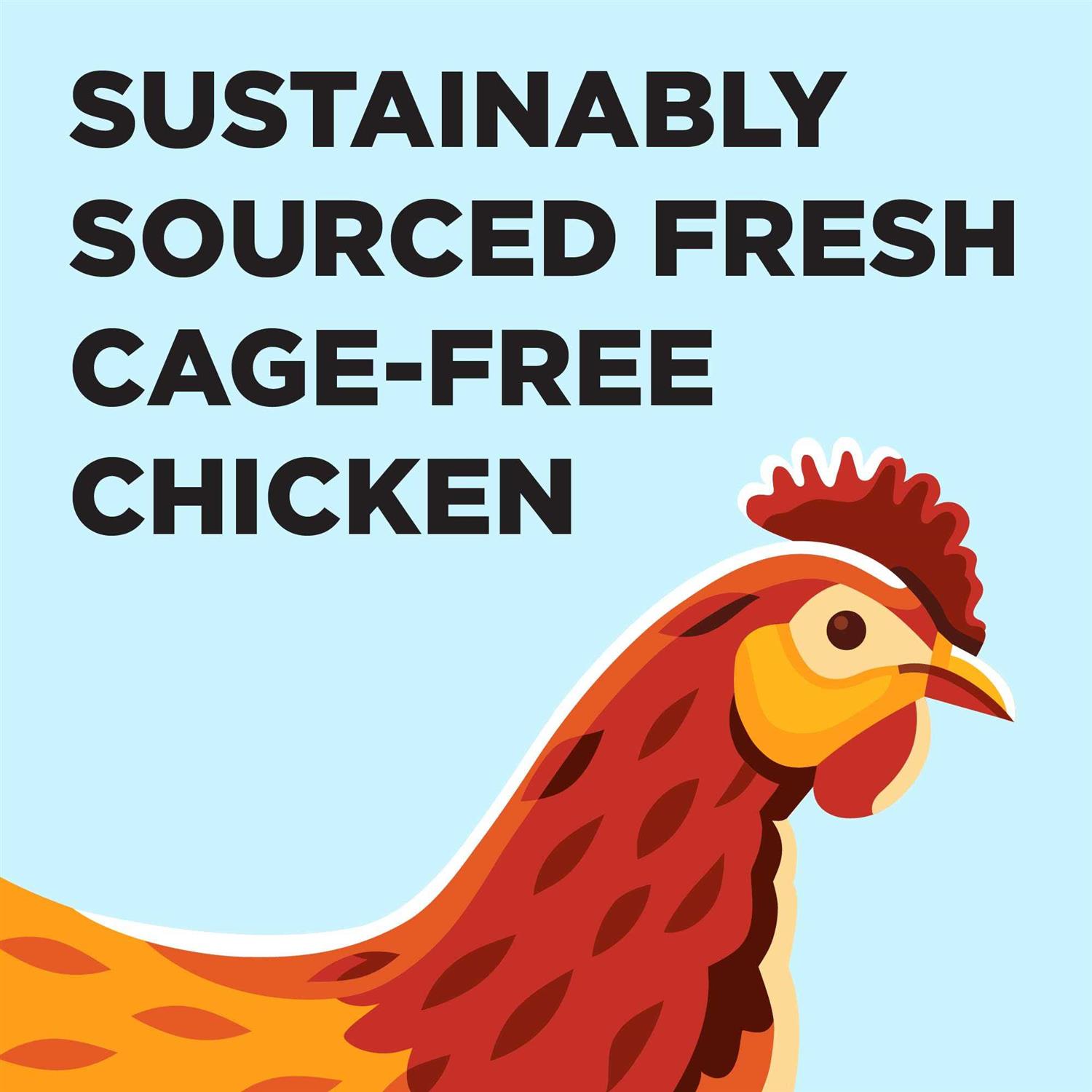 Alternative view of BIXBI Liberty Chicken Recipe Dry Cat Food