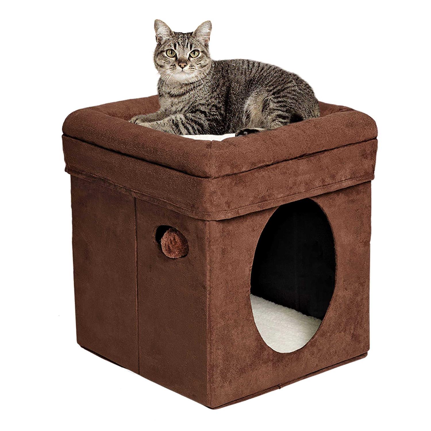 Midwest Curious Cat Cube
