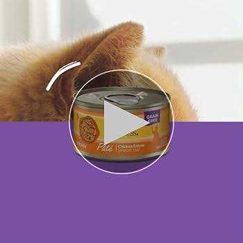 Alternative view of Wellness Complete Health Seafood Pate Favorites Variety Pack Wet Adult Cat Food